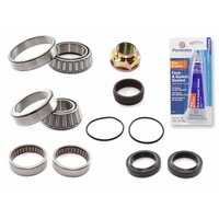 BW rear diff bearing & seal kit Holden Commodore VT 1997-2000 3.8 LN3 V6